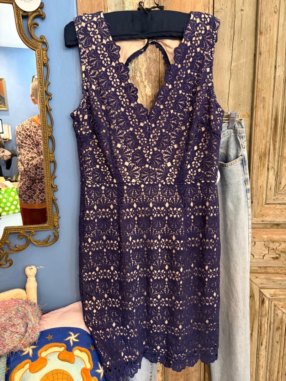Moss & Spy Dress Navy Blue