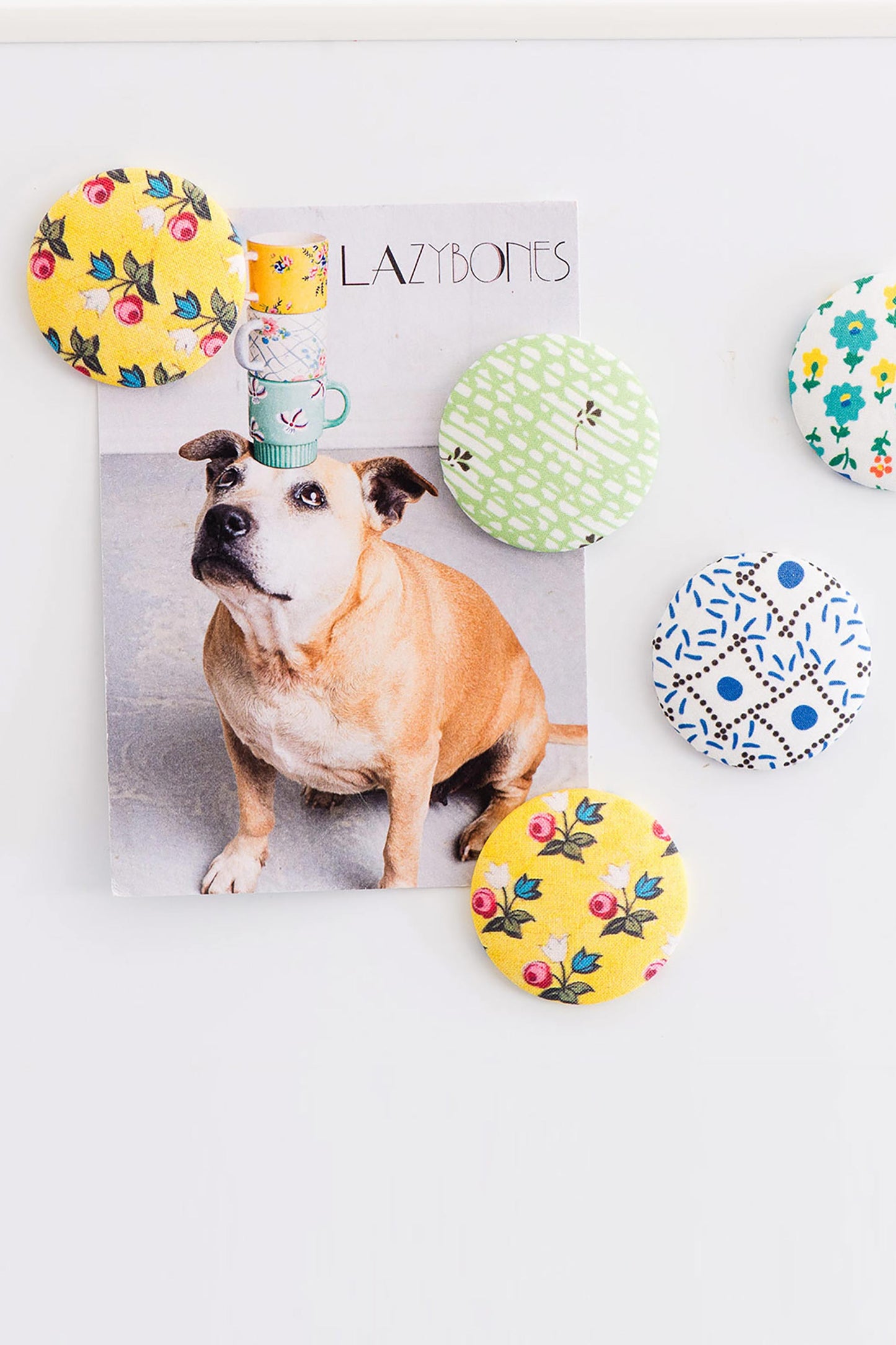 Lottie Magnet
