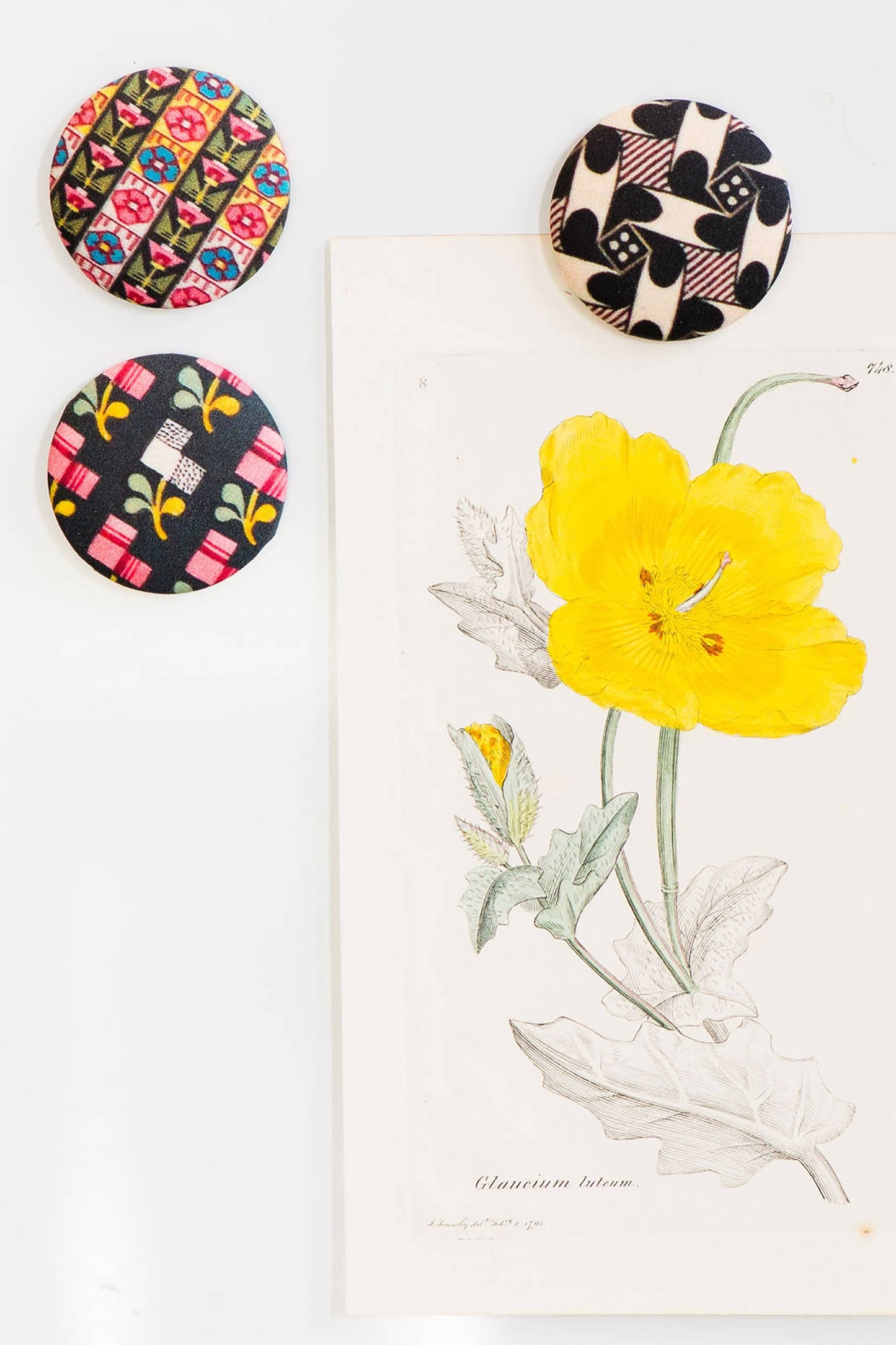 Painted Floral magnet