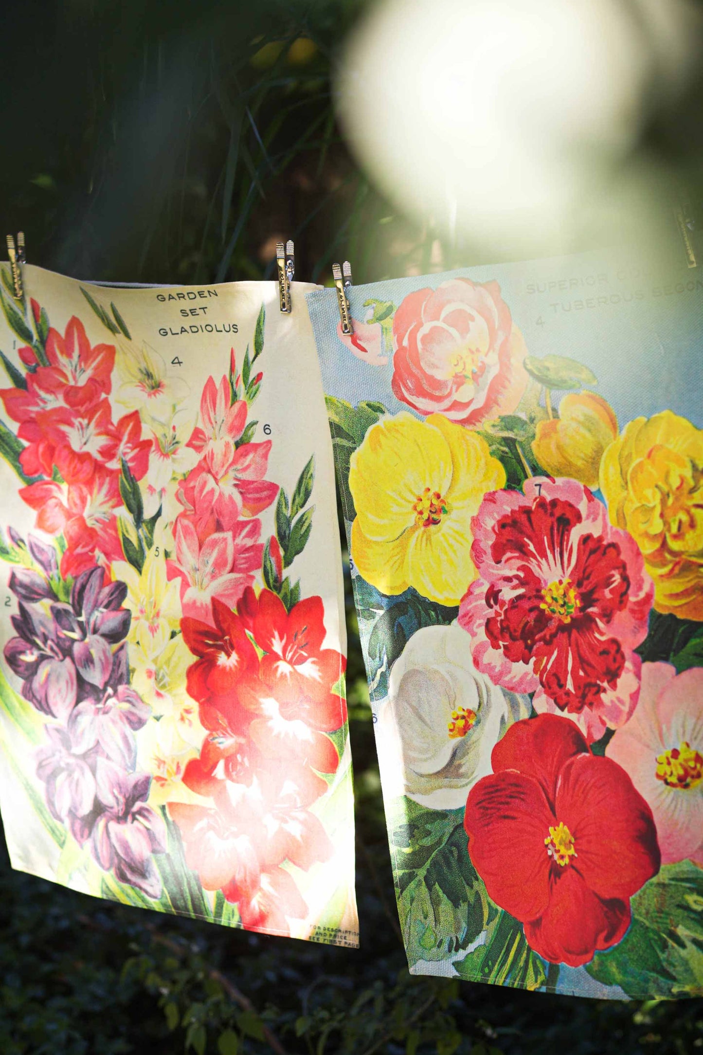 Tea Towel Begonias