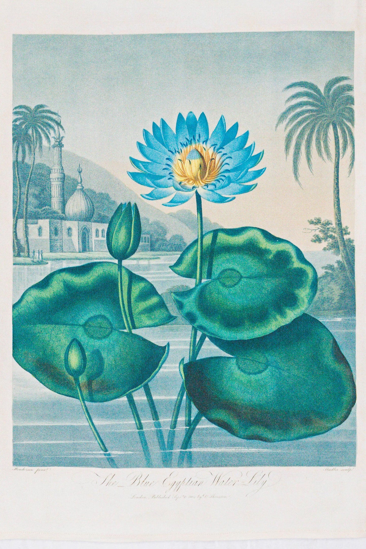 Tea Towel Blue Water Lily