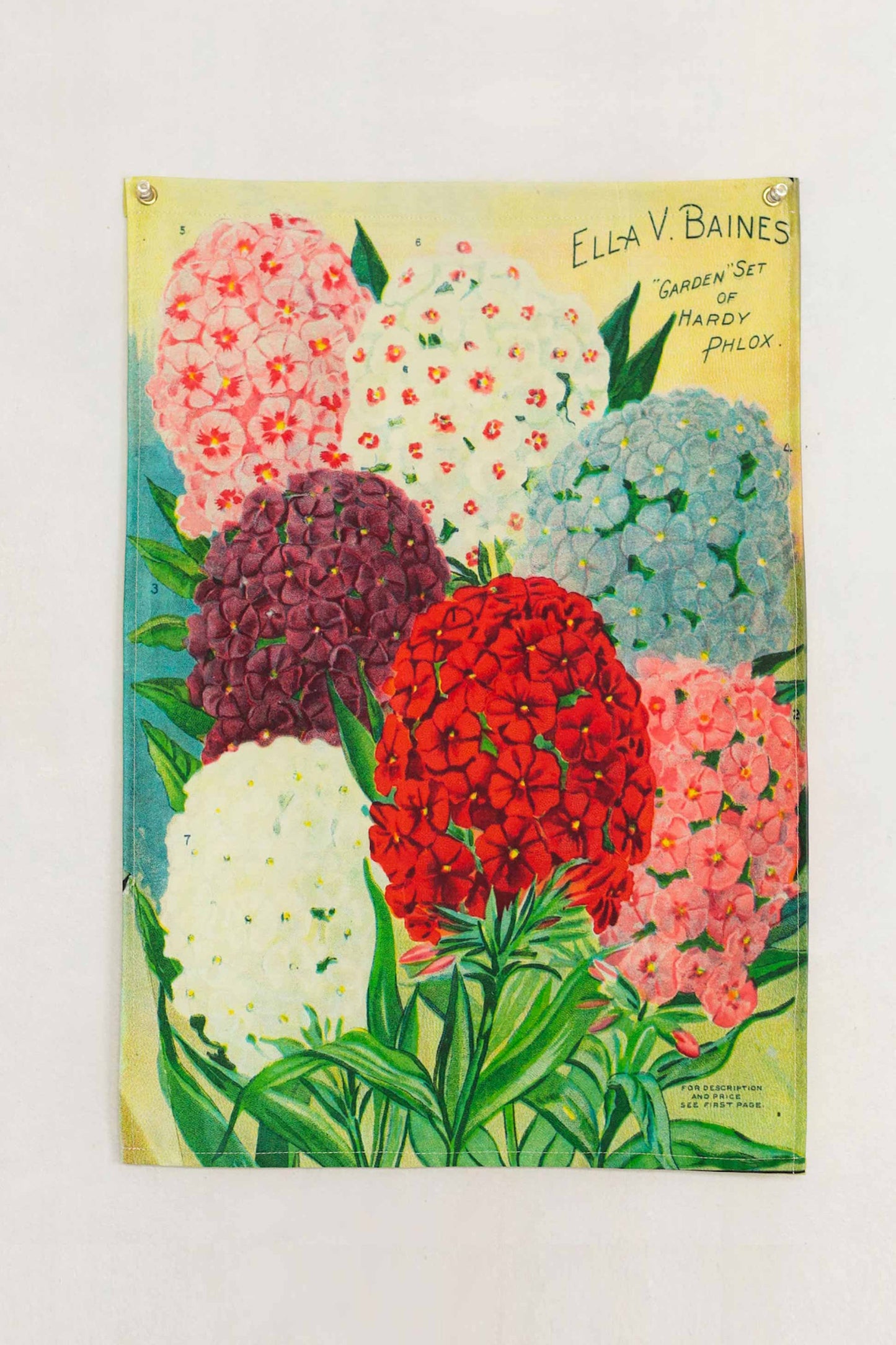 Wall Hanging Phlox *organic cotton