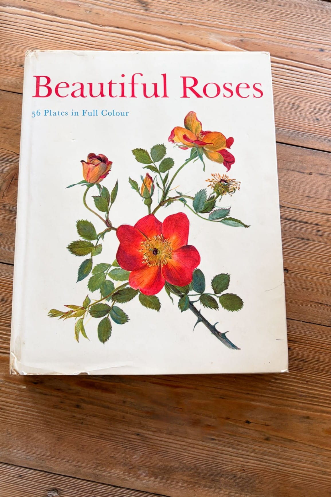 Beautiful Roses Book