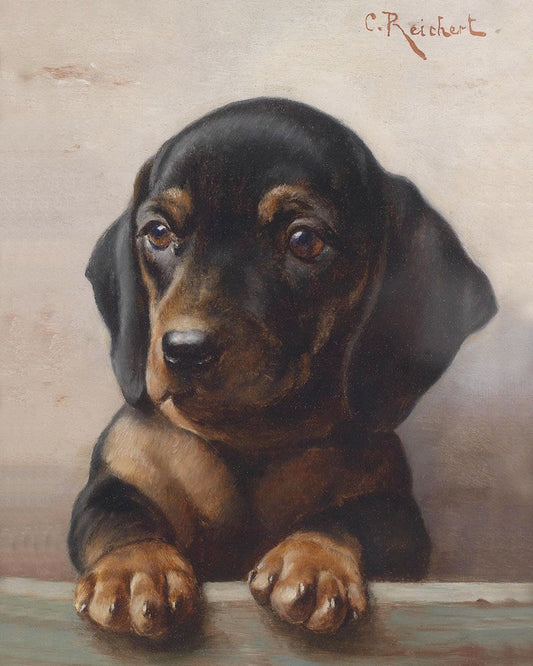 Art Print 30.1 Dachshund