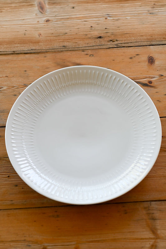 Vintage Rare Apart by Hutschenreuther dinner plate set of 12