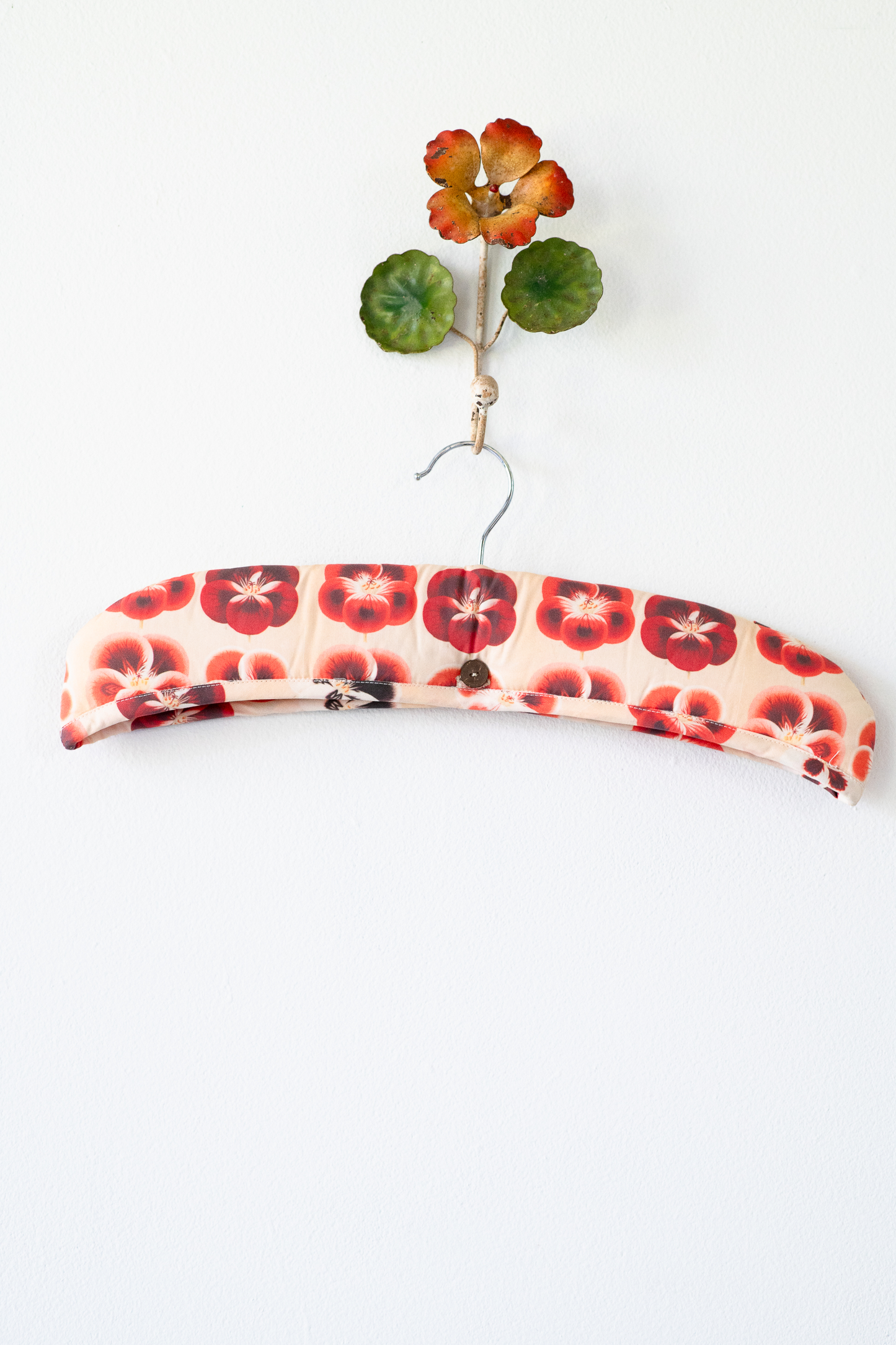 Coat Hanger Geranium