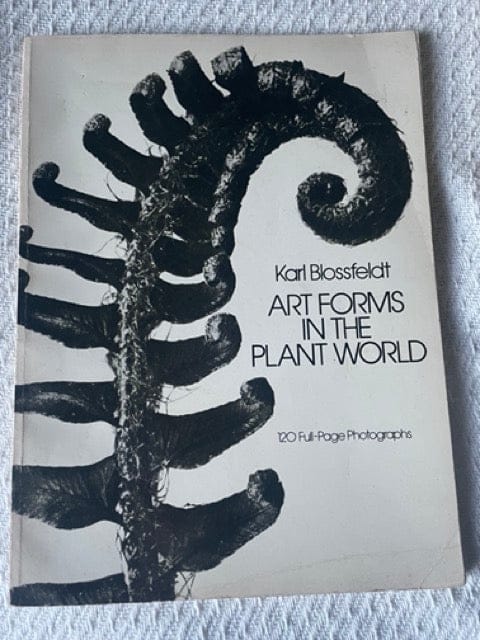 Art Forms in the Plant World