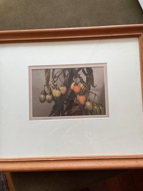 Vintage hand painted photograph of Kangaroo Apples framed