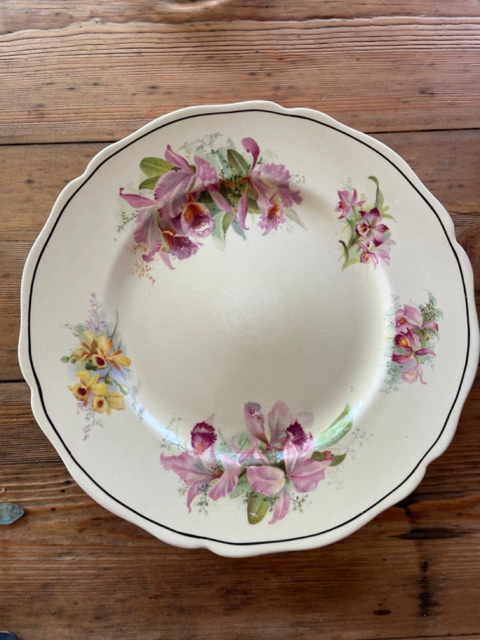 Royal Doulton Orchid Dinner Plate