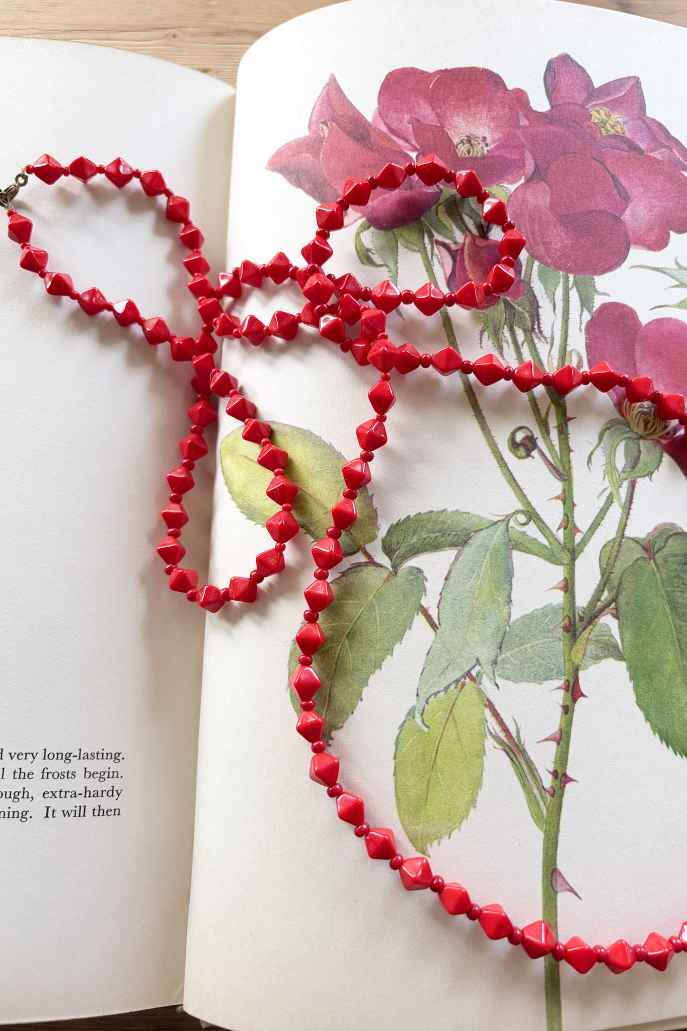 Beautiful Roses Book 1966 by P. Svoboda