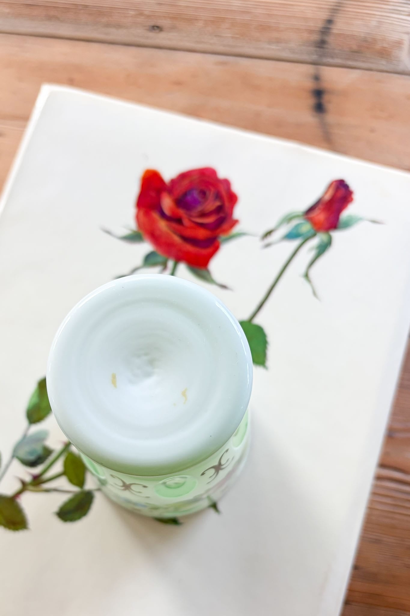 Bohemian Czech cased glass painted floral vase