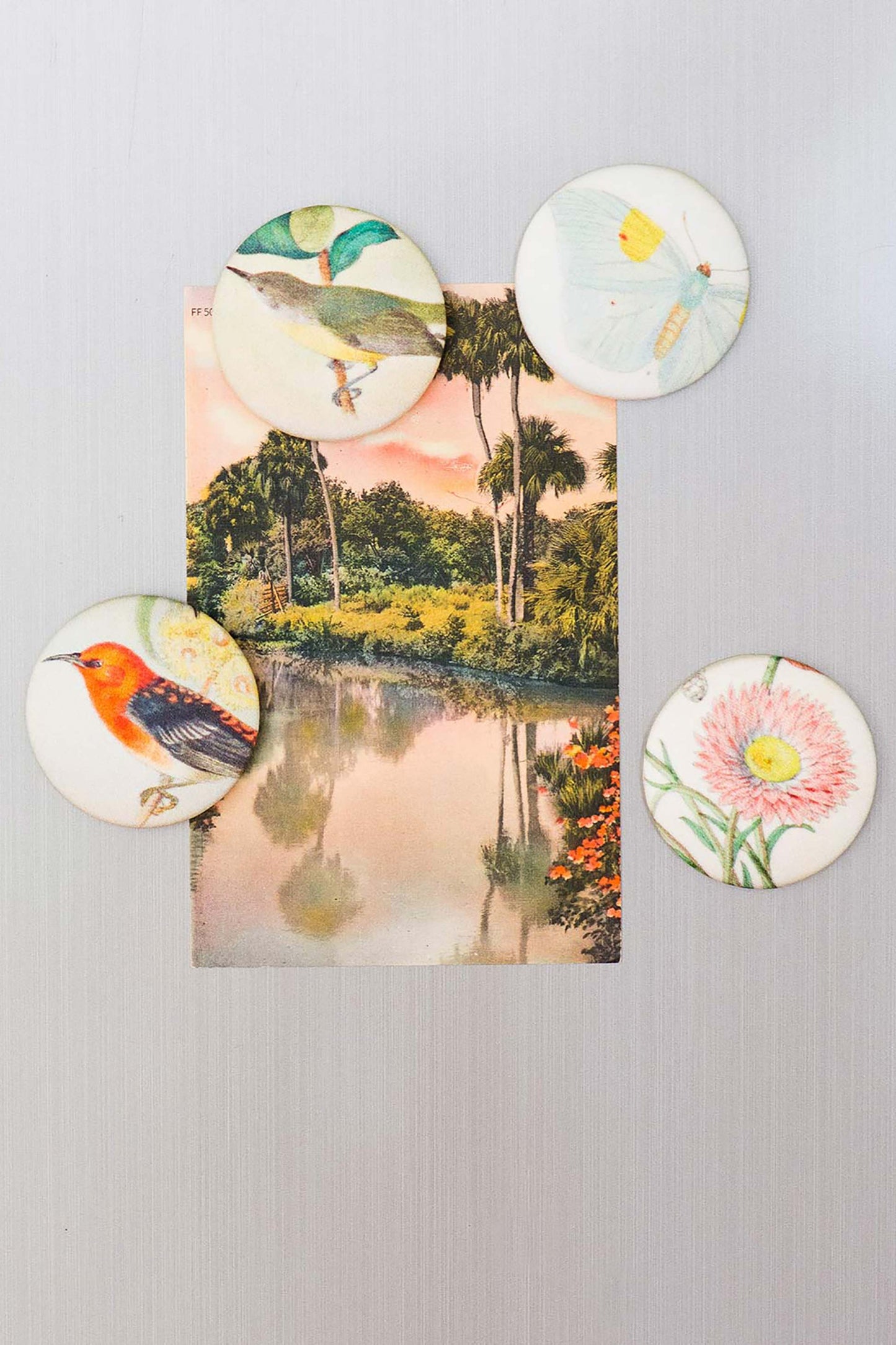 Flutter Magnet