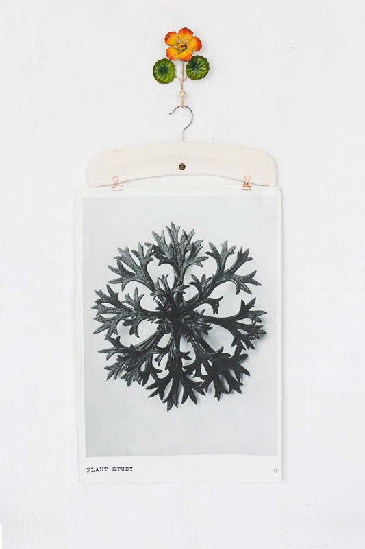 Tea Towel Plant Study 47