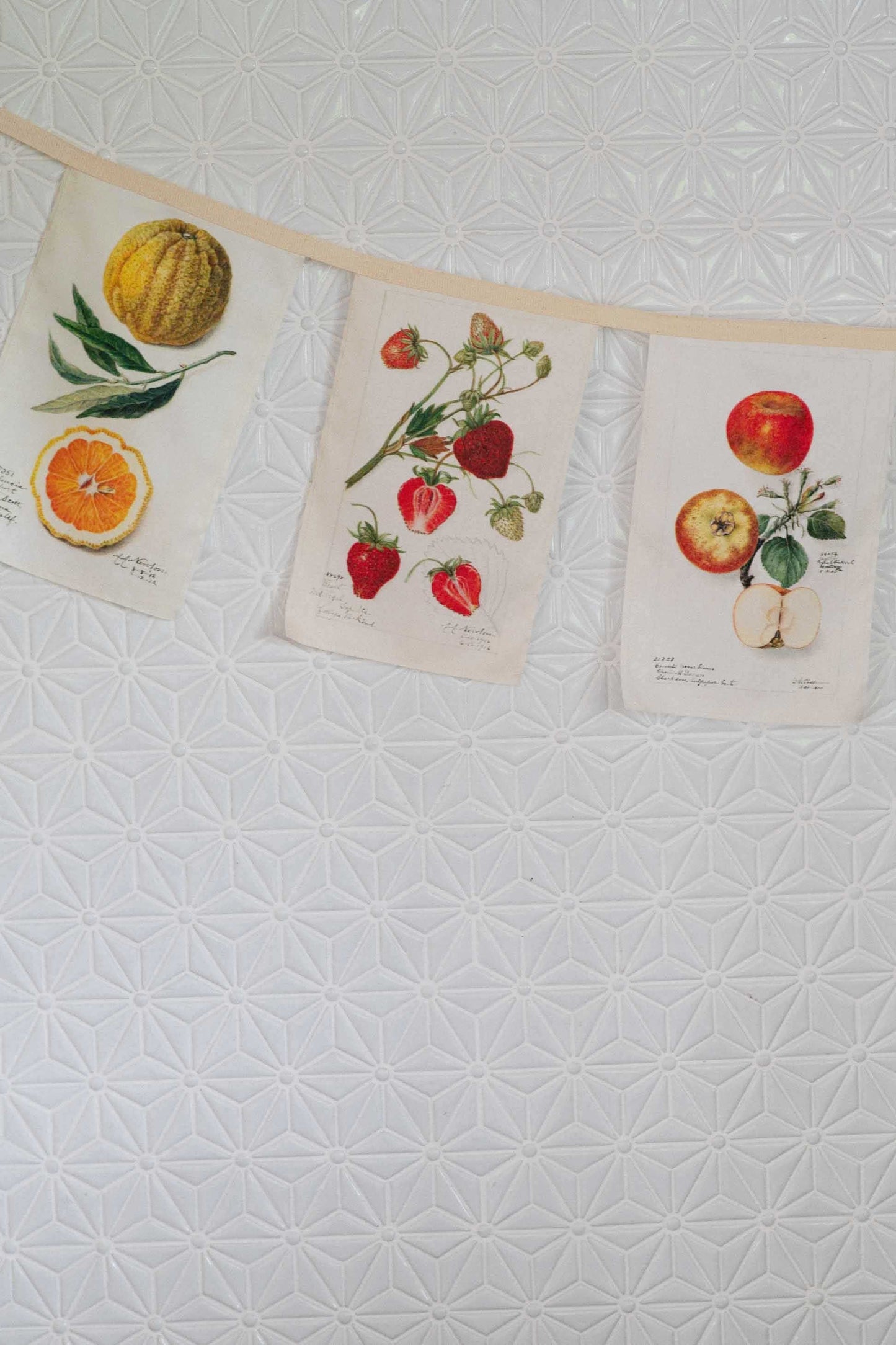 Vintage fruit garland